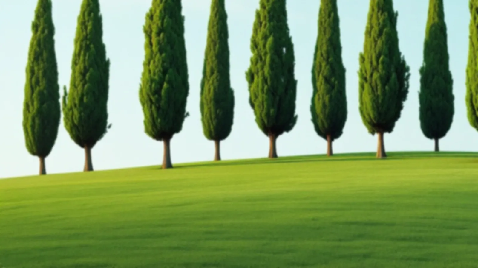 A row of tall slim cypress trees on a green hill under a soft blue sky, the FundsCypress view of installment loans online, $100 – $5,000